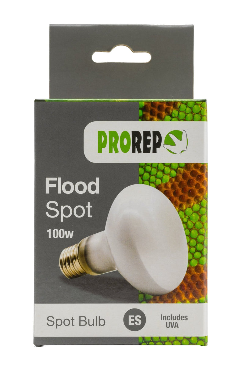 ProRep Flood Lamp - Reptiles By Post