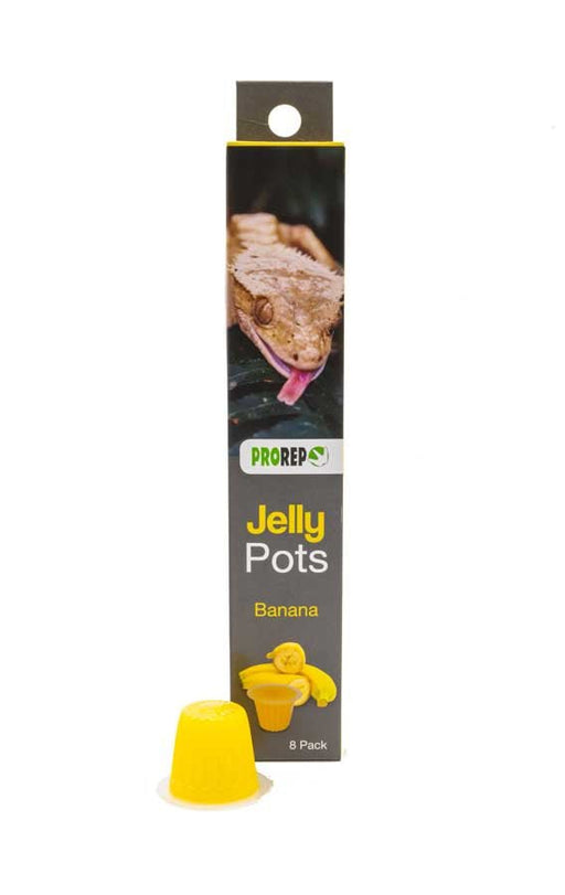 ProRep Jelly Pots, 17g - 8 pack - Reptiles By Post
