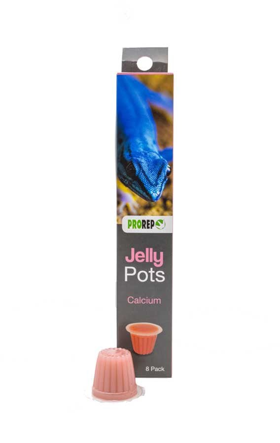 Jelly Pots Bug Booster Calcium pack — Reptiles By Post
