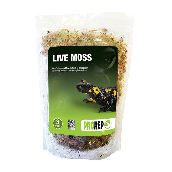 ProRep Live Moss - Reptiles By Post