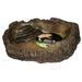 ProRep Terrarium Bowl Wood X-Large - Reptiles By Post