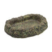 RepStyle Rainforest Dish Medium - Reptiles By Post