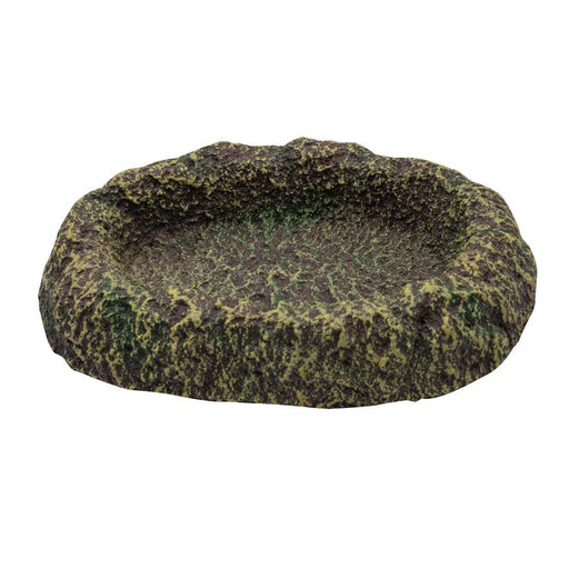 RepStyle Rainforest Dish Small, 63645 - Reptiles By Post