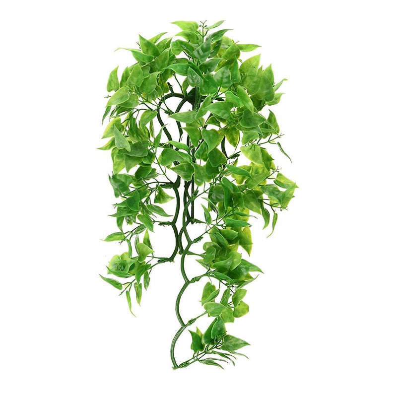 Zoo Med Mexican Phyllo - Reptiles By Post